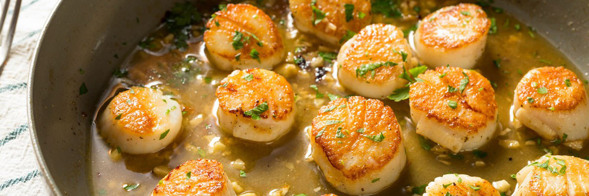 Seared garlic and herb scallops